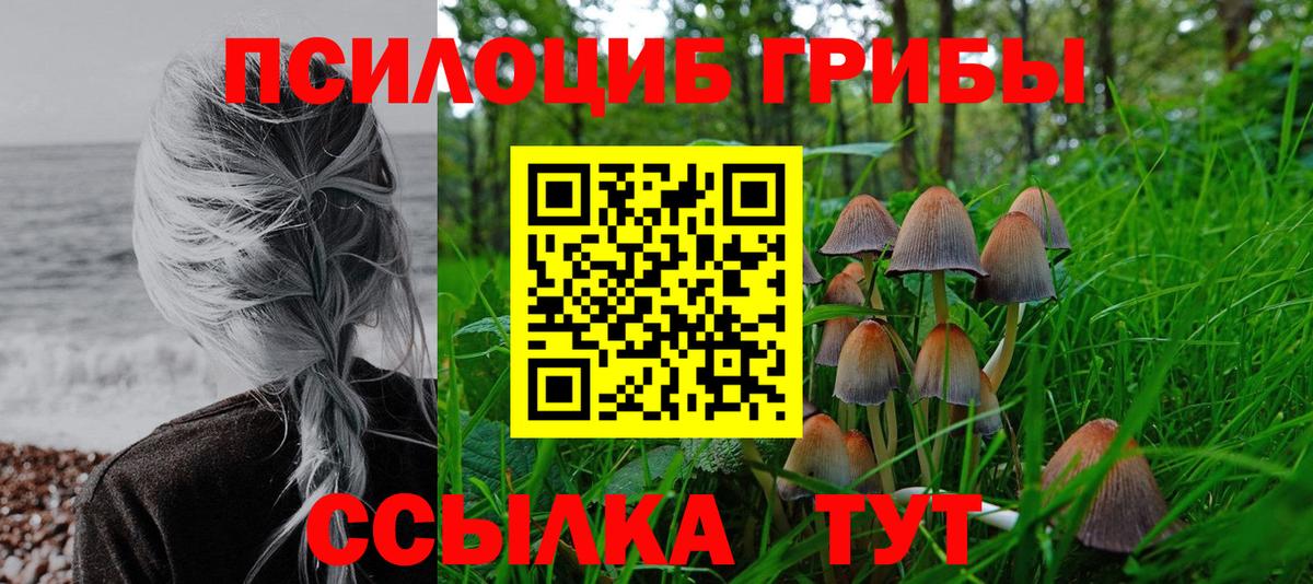 Псилоцибиновые грибы мицелий Михайловка